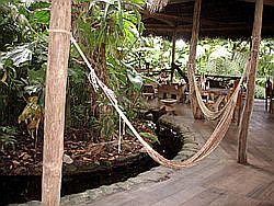 Tena Liana Lodge